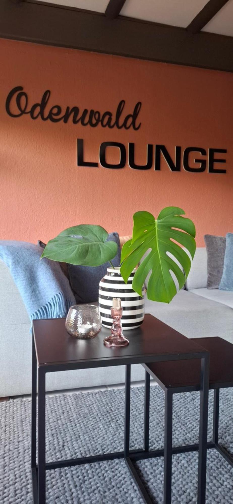 ReichelsheimOdenwald Lounge别墅 外观 照片