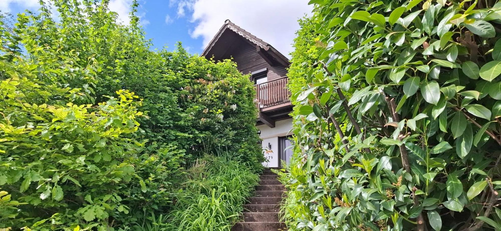 ReichelsheimOdenwald Lounge别墅 外观 照片
